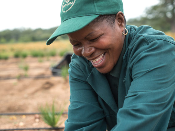 sustainable agriculture