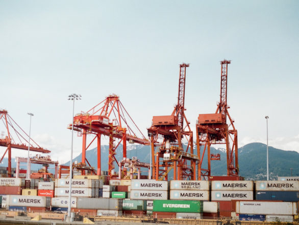 trade development